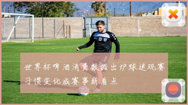 世界杯啤酒消费数据出炉球迷观赛习惯变化成赛事新看点