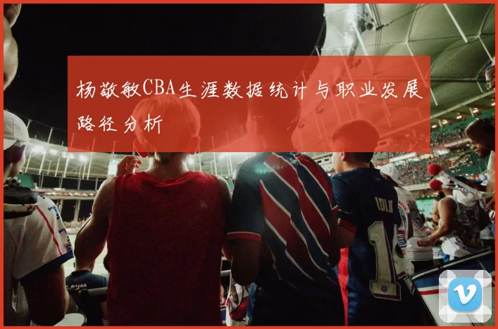 杨敬敏CBA生涯数据统计与职业发展路径分析