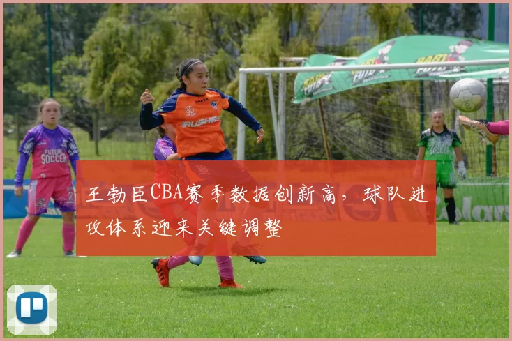 王勃臣CBA赛季数据创新高，球队进攻体系迎来关键调整