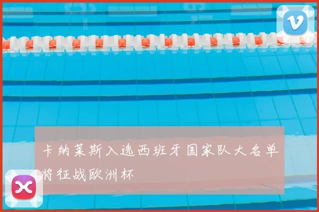 卡纳莱斯入选西班牙国家队大名单将征战欧洲杯