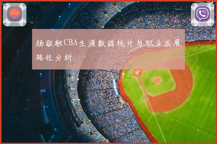 杨敬敏CBA生涯数据统计与职业发展路径分析