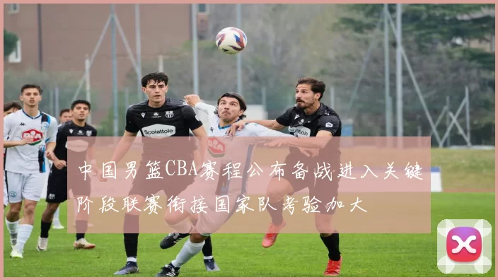 中国男篮CBA赛程公布备战进入关键阶段联赛衔接国家队考验加大