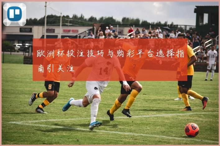 欧洲杯投注技巧与购彩平台选择指南引关注