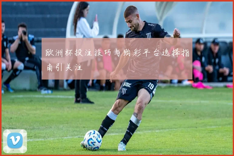 欧洲杯投注技巧与购彩平台选择指南引关注