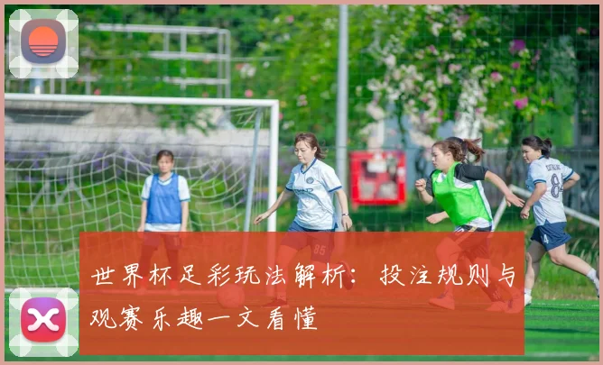 世界杯足彩玩法解析：投注规则与观赛乐趣一文看懂