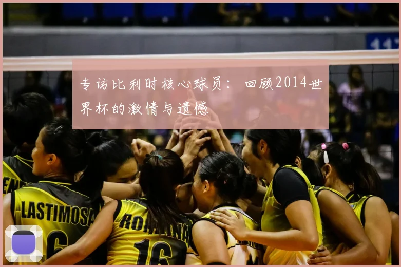 专访比利时核心球员:回顾2014世界杯的激情与遗憾