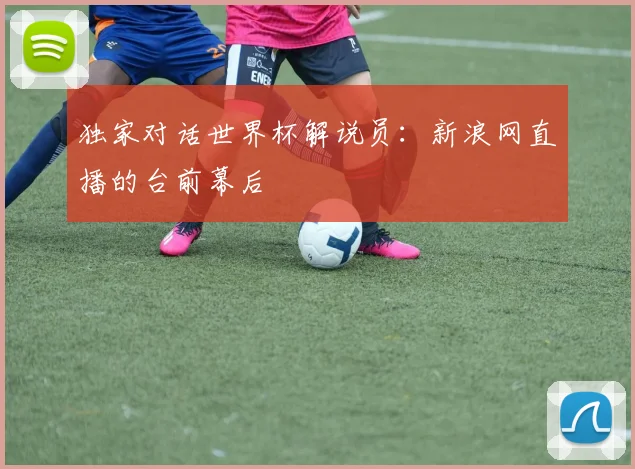 独家对话世界杯解说员:新浪网直播的台前幕后