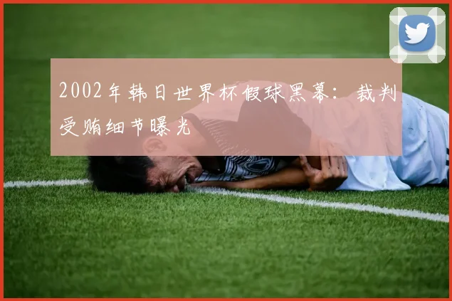 2002年韩日世界杯假球黑幕:裁判受贿细节曝光
