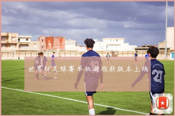 世界杯足球赛单机游戏新版本上线